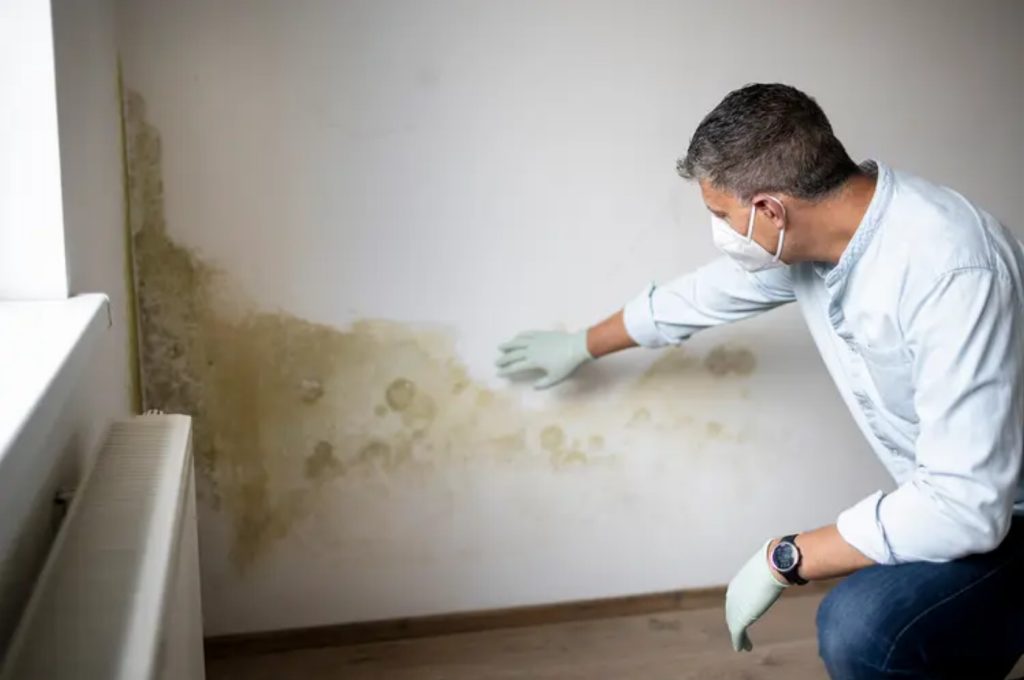 aparitia mucegaiului. Cum prevenim cu izolatia